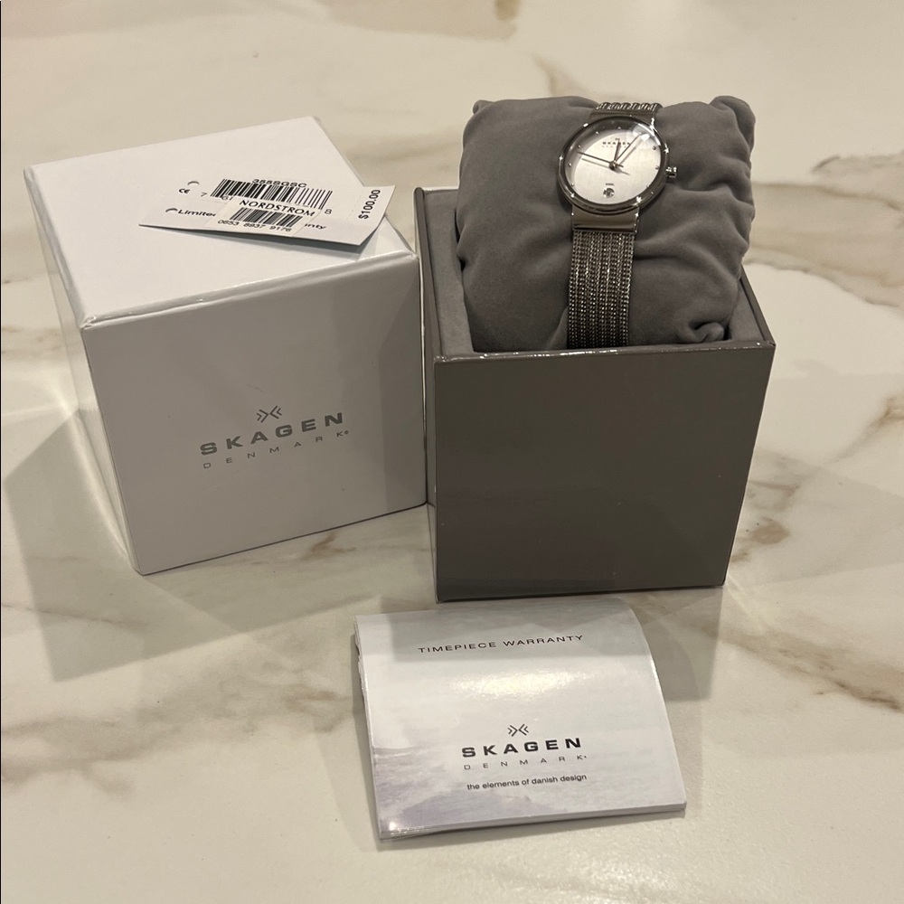 Skagen Silver-Tone Mesh Band Watch